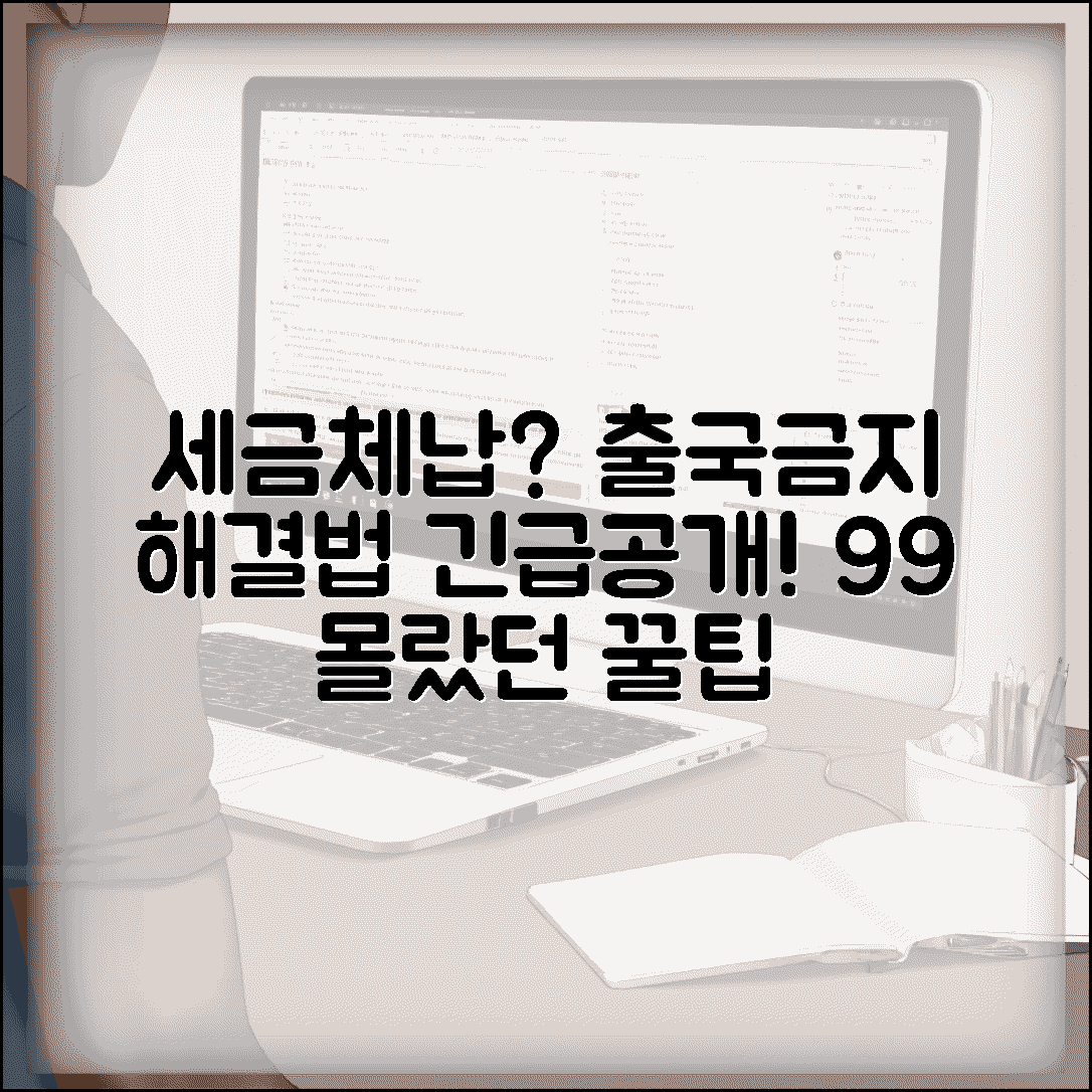 세금체납 출국금지 완벽해결 | 해제방법 및 절차 총정리 | 99%가 모르는 숨겨진 꿀팁