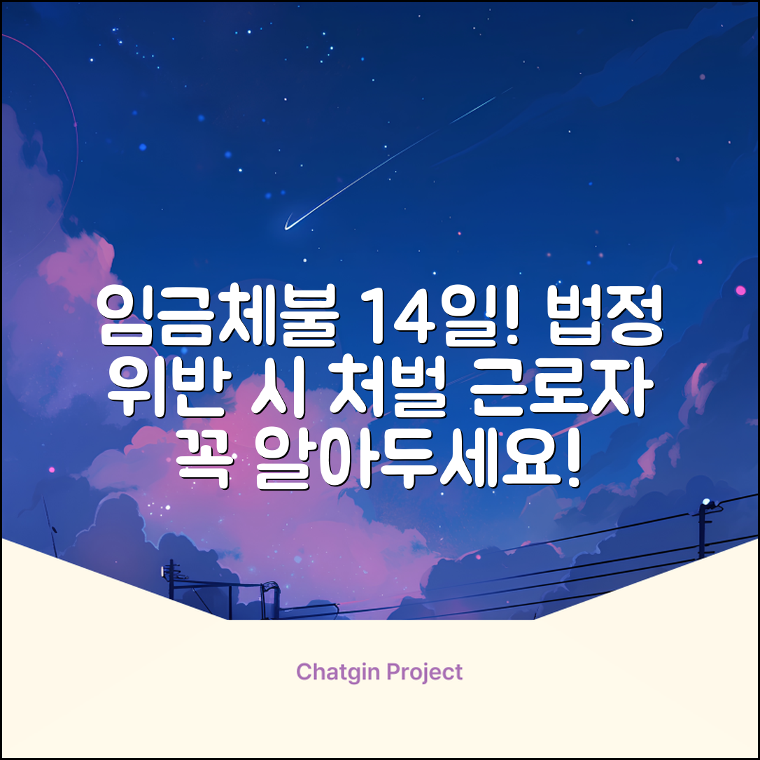 임금체불 14일 원칙 | 법정 임금지급일 14일 위반 시 처벌 | 근로자 필독 가이드